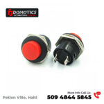 Switch Push Button R13-507