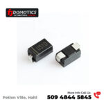 Diodo 821 - FM80 916 ZHK